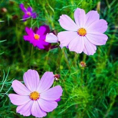 半岛·综合体育APP